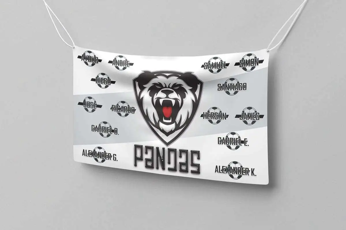 AYSO Team Banners